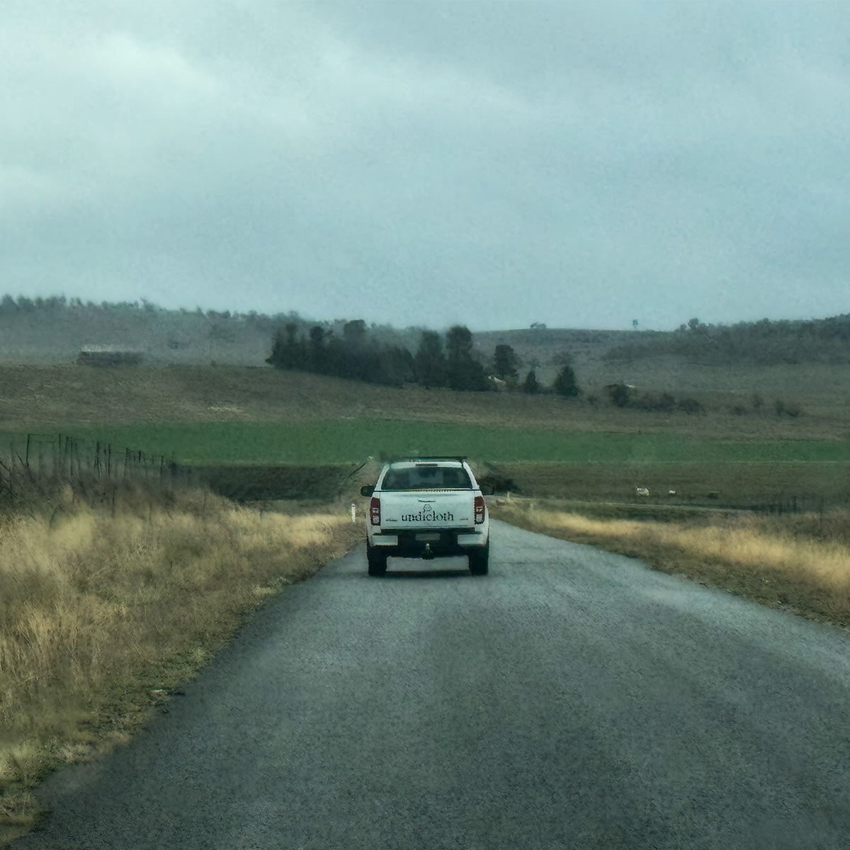 We've Moved! Welcome to Our New Shopify Store